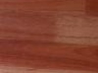 Grey Gum Grey Gum